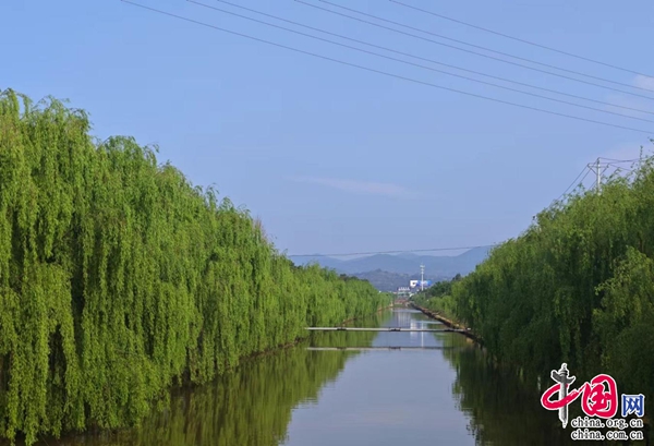 云南南华县加强流域河道综合治理 守护一江清水