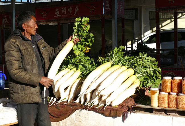 中村特色农产品交易市场里,一商贩正在售卖萝卜。南华县融媒体中心供图