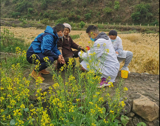 图片4.png 图片4.png