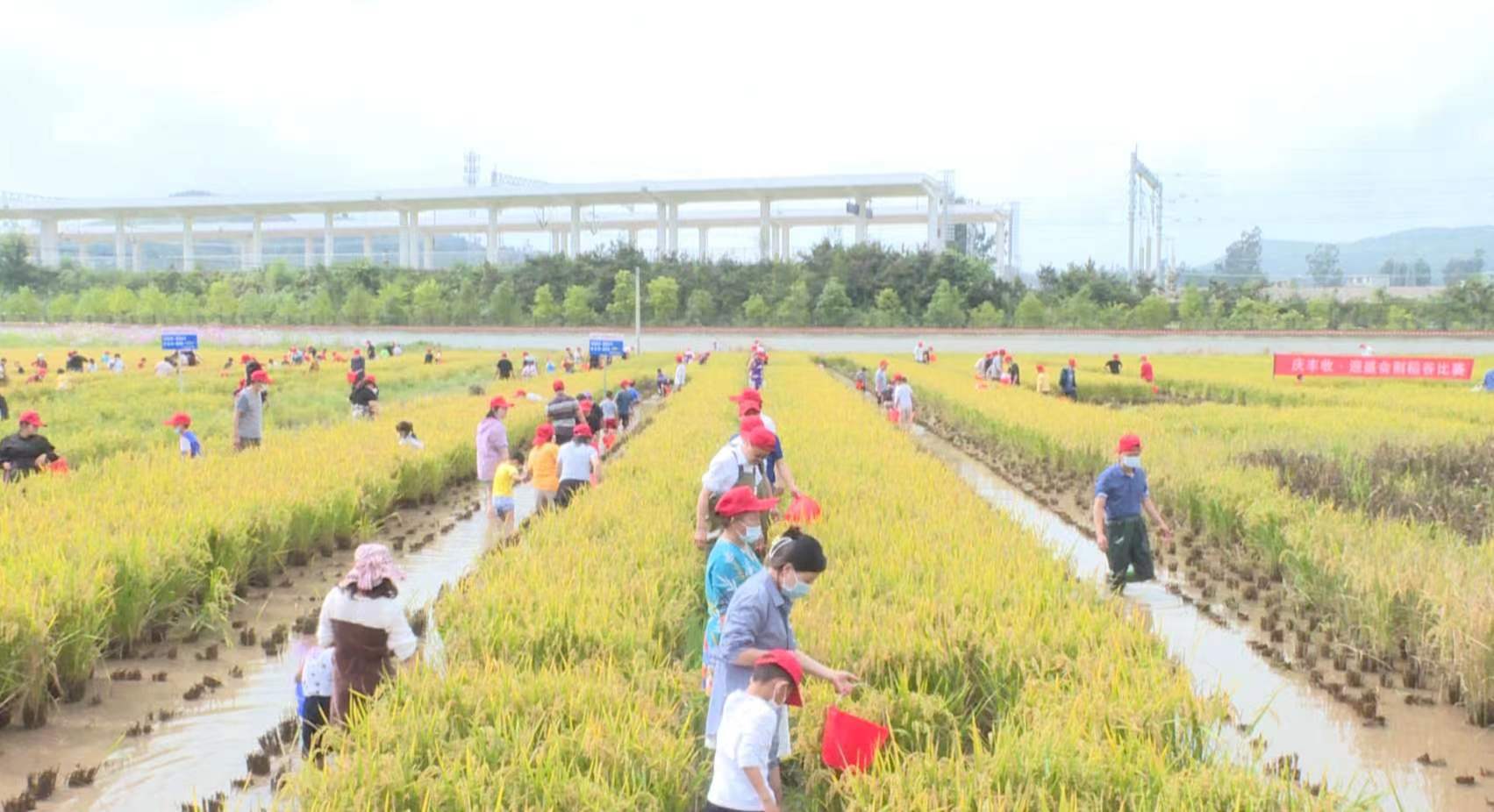 CDC4CDB2-88E4-48E9-B6C0-7F8F133690D6.jpeg CDC4CDB2-88E4-48E9-B6C0-7F8F133690D6.jpeg