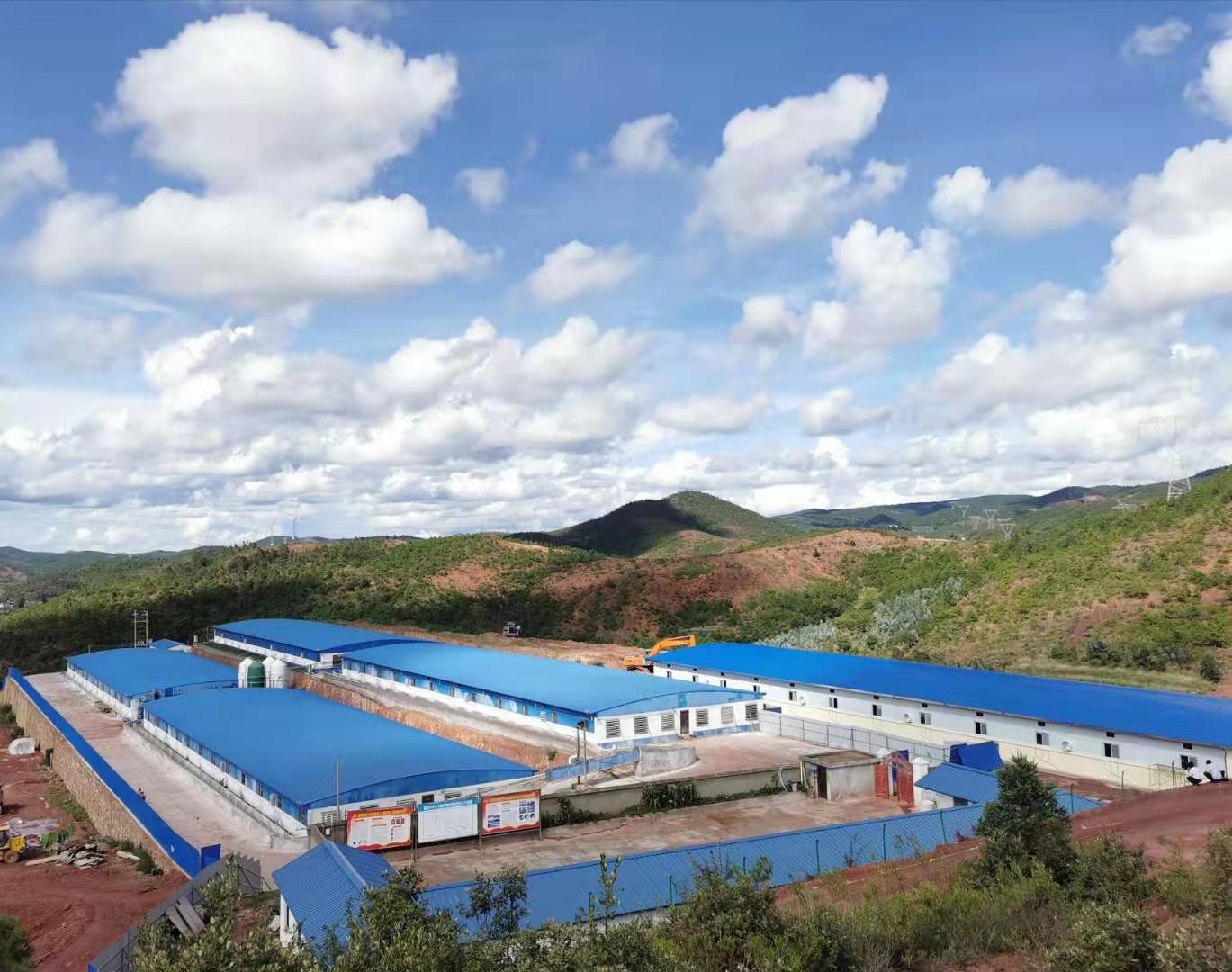 雨露白族乡生猪养殖小区.jpg 雨露白族乡生猪养殖小区.jpg