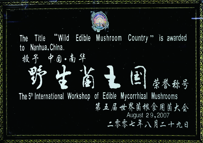 复制图片 复制图片