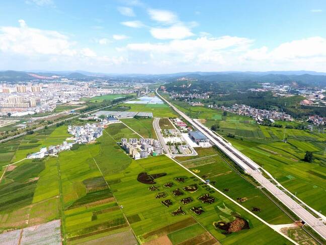 复制图片 复制图片