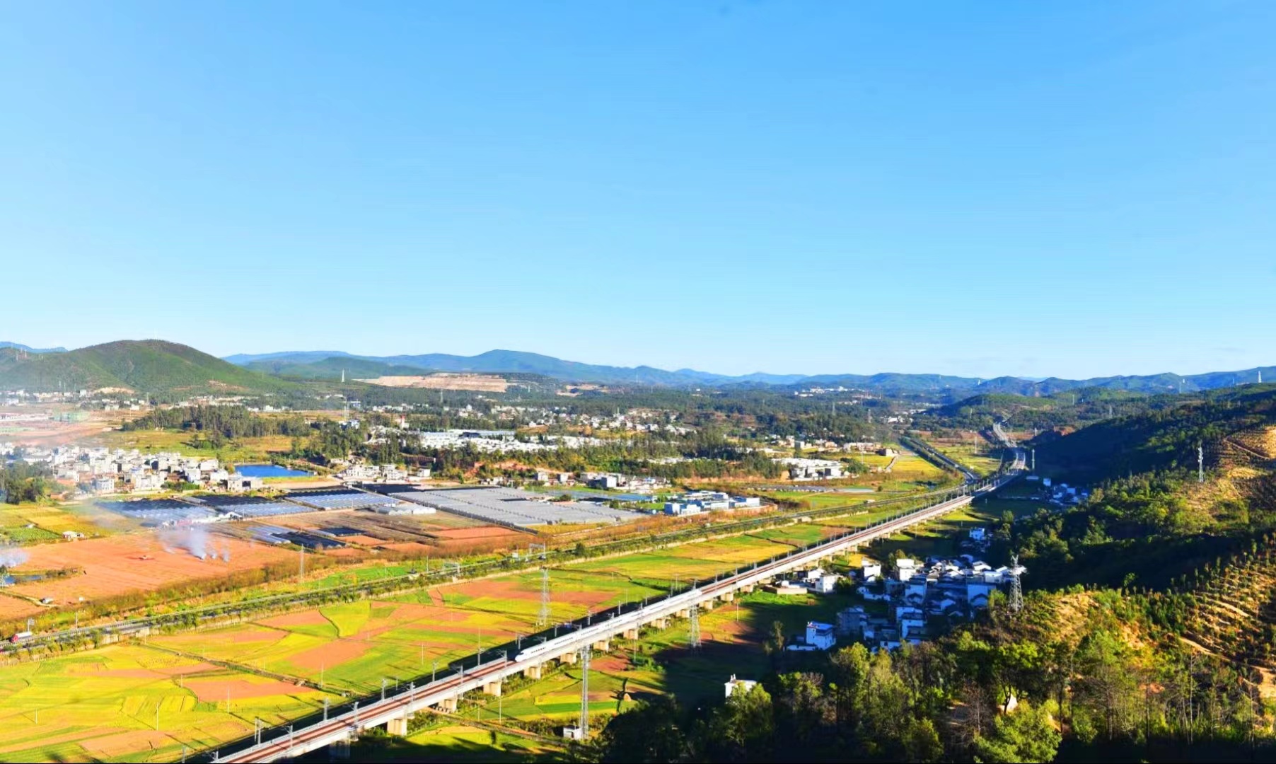 复制图片 复制图片