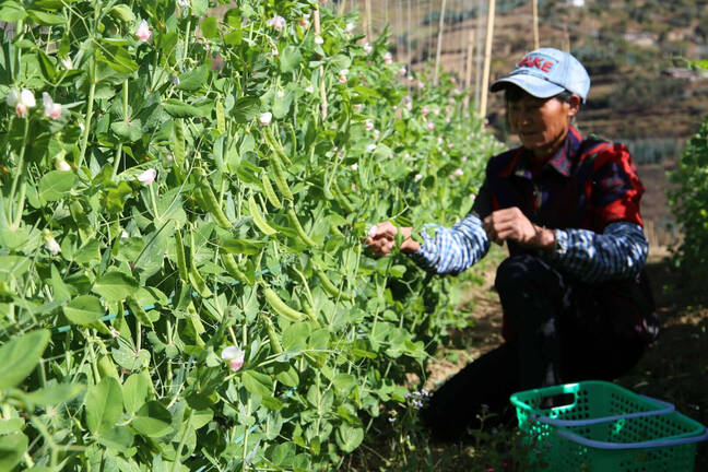 图片2.png 图片2.png